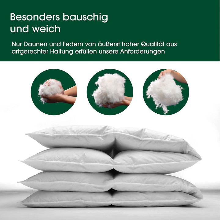 HANSKRUCHEN Premium de Luxe Daunendecke 260x220 cm - Leicht / Übergang - Made in Germany Kassettende