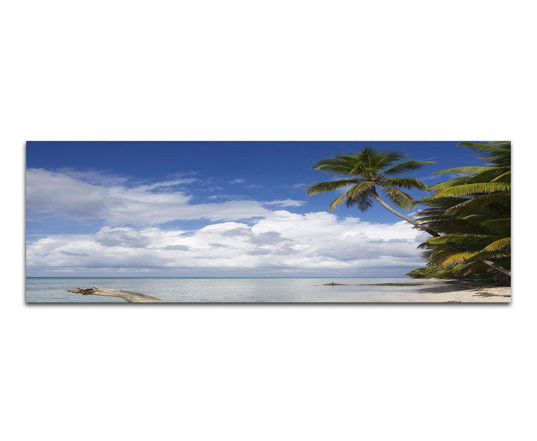 Paul Sinus Art Panoramabild auf Leinwand und Keilrahmen 150x50cm Strand Meer Wolken Palmen Holzstamm
