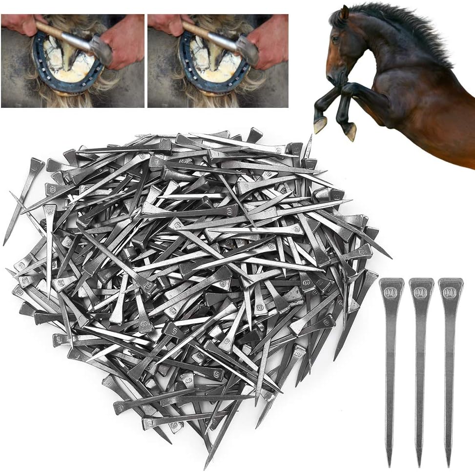 Nikou Hufeisennagel - 250PCS E6 hochfester Stahlhufzapfen Sicheres festes Werkzeugzubehör für Pferde