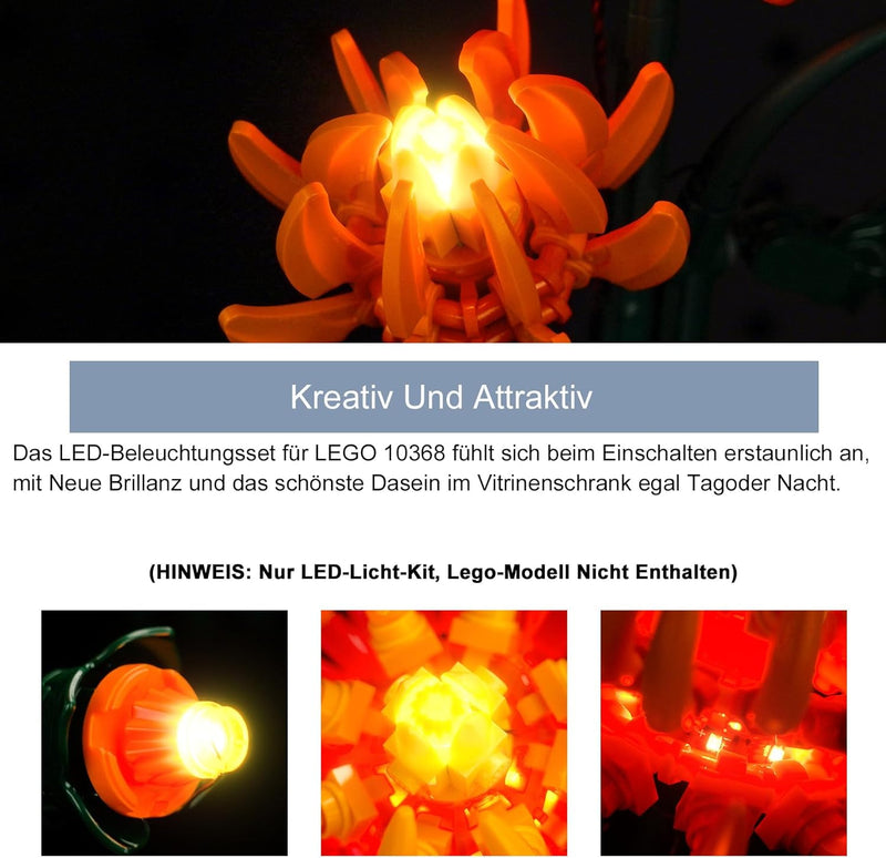 Licht-Kit für Lego Chrysanthemum (Kein Lego), Dekorationsbeleuchtungsset für Lego 10368 Icons Chrysa