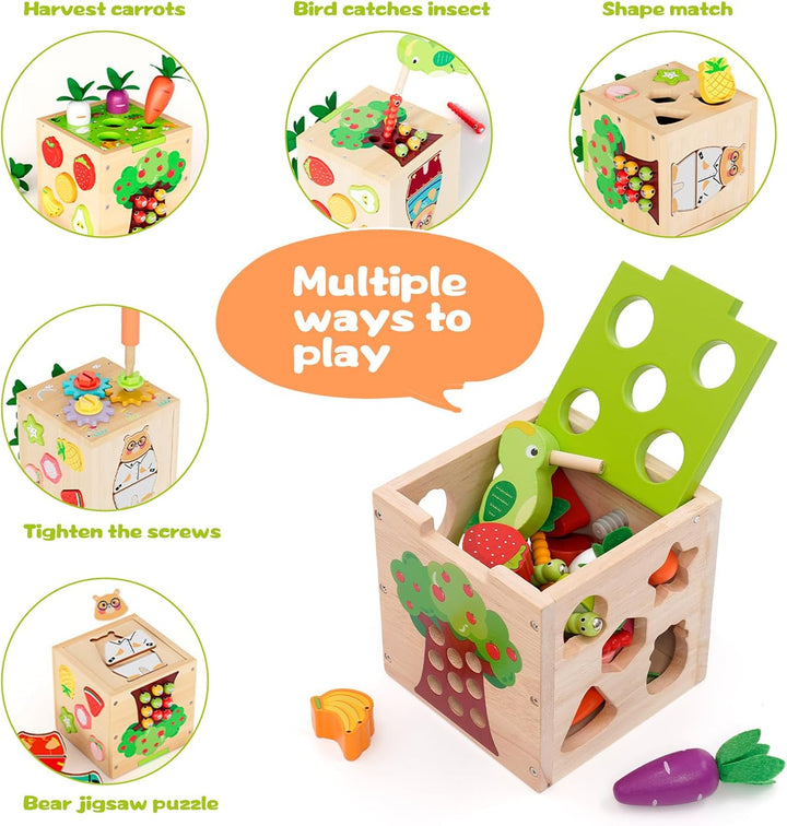 5 in 1Montessori Motorikwürfel,Activity Cube,Steckwürfel enthalten Formen zuordnen, Karotten ernten,