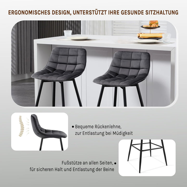 WOLTU Barhocker BH143dgr-2 2er Set Designer Barstuhl Hocker Tresenhocker Bistrohocker mit Fussstütze
