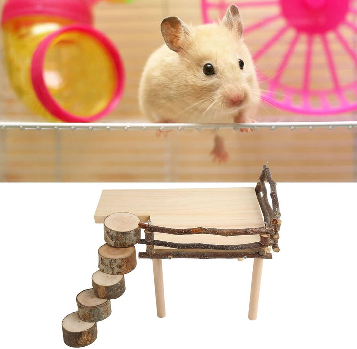 Hamsterspielzeug Zum Klettern, Chinchilla, Eichhörnchen, Kaninchen, Meerschweinchen, Hamsterplattfor