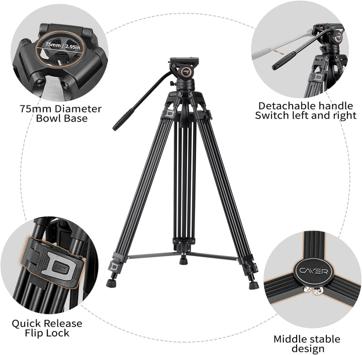 Cayer BF30L Video-Stativ mit Fluid-Kopf, 73" Heavy Duty Stativ mit 360 Grad Fluid-Kopf und Schnellwe