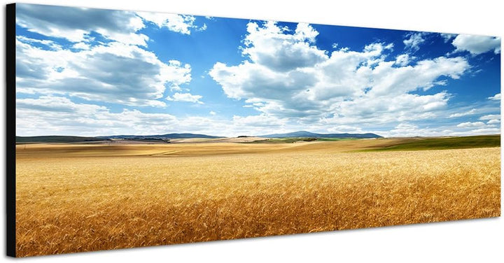 Paul Sinus Art Panoramabild auf Leinwand und Keilrahmen 150x50cm Italien Toskana Kornfeld Wolken Him