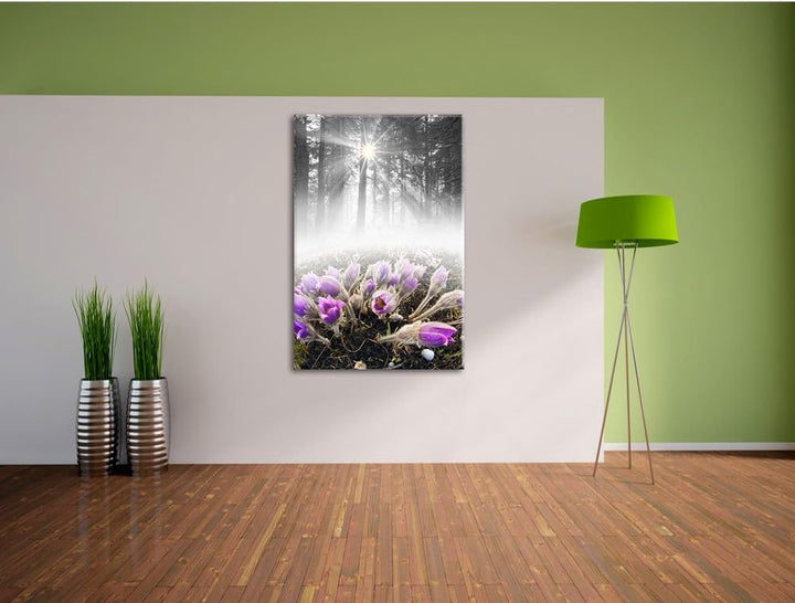 Pixxprint blühende lila Blumen im Wald B&W Detail, Format: 100x70 auf Leinwand, 100x70