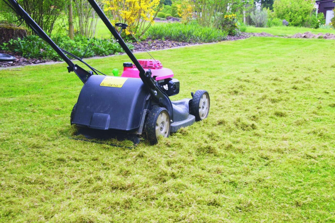 Kraftharke 40cm + 2 Paar Ersatzfedern Vertikutierer Moosentferner Entmooser