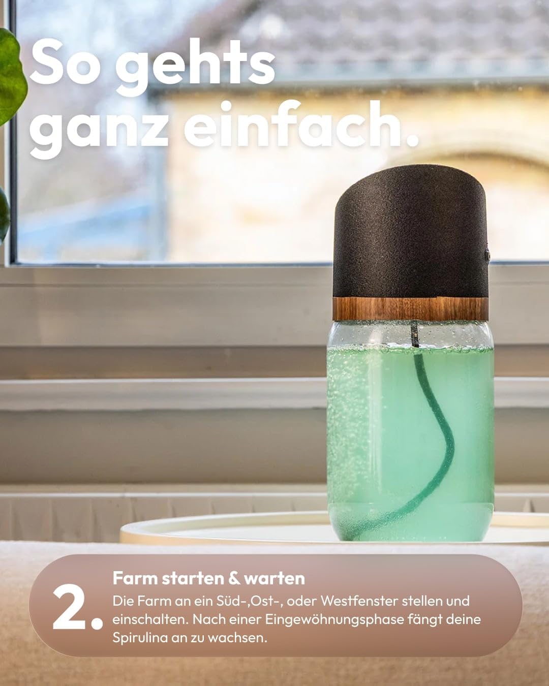 MySpirulina Anzucht-Starterset – Frische Spirulina selbst anbauen, vollautomatisches Home-System für