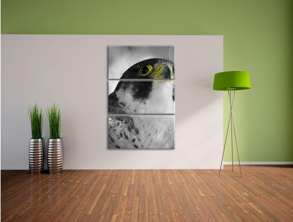 Pixxprint schöner anmutiger Adler / 3-Teilig/Gesamtmass 120cm Leinwandbild bespannt auf Holzrahmen/W