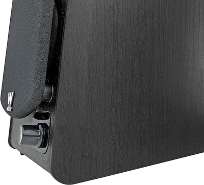 Woxter Altavoces Woxter Dynamic Line Dl-610 Black WOXTER DYNAMIC LINE DL-610 Schwarz, WOXTER DYNAMIC