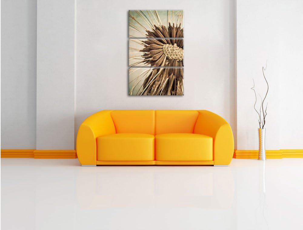 Pixxprint Vertrocknete Pusteblume als Leinwandbild/Grösse: 3 Teilig (120x80) cm/Wandbild/Kunstdruck/