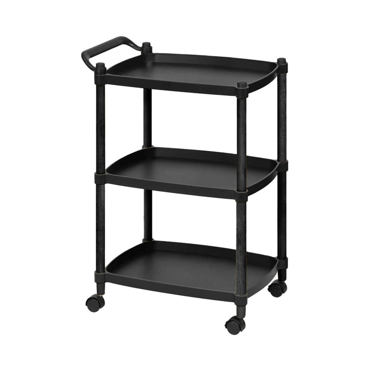 Wintem Platzsparender Rollwagen aus PP-Kunststoff, schwarz, 46 x 33 x 74 cm, 4 drehbare Rollen und e