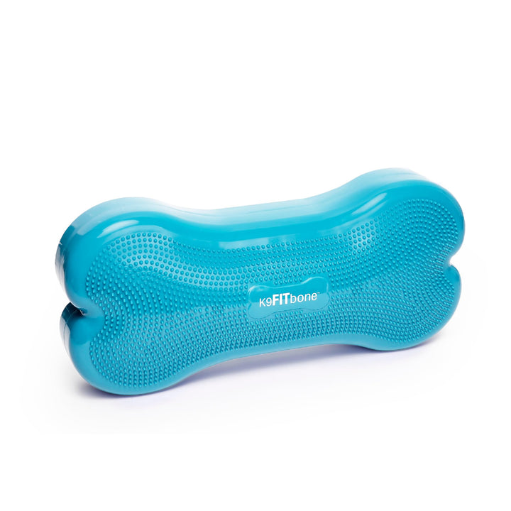 FitPAWS Giant Fitbone (blau)