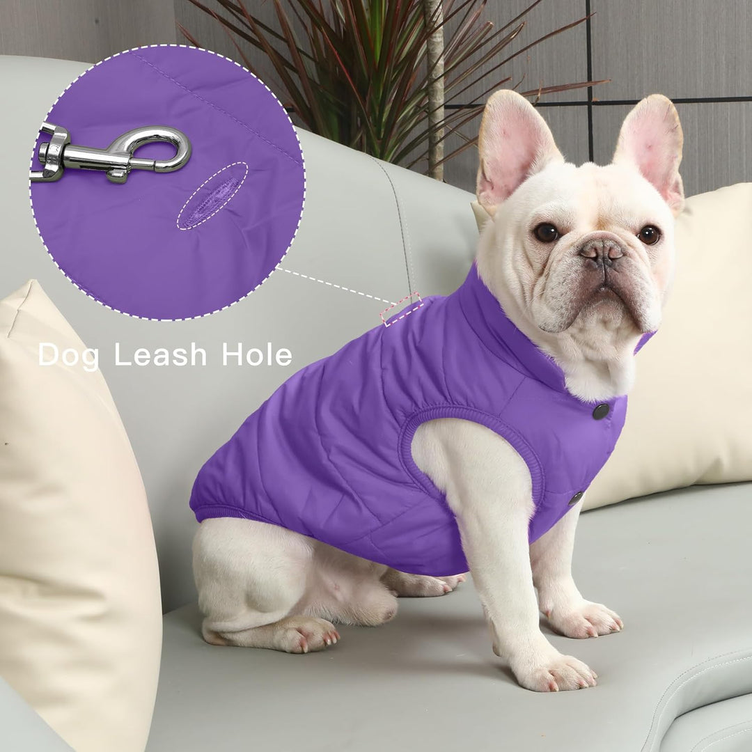 Fleece Hundejacke für Winter kaltes Wetter, Extra Weicher Hundemantel für Kleine Hunde, Winddichte W