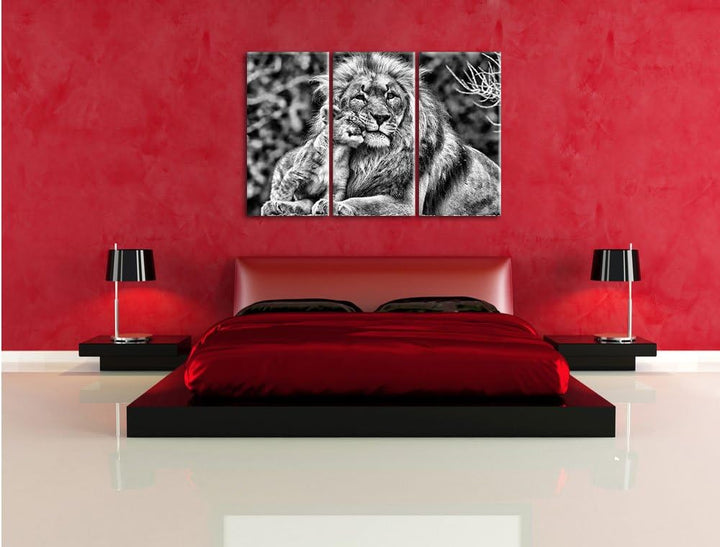 Pixxprint Monocrome, schöner Löwe mit Jungtier 3-Teiler Leinwandbild 120x80 Bild auf Leinwand