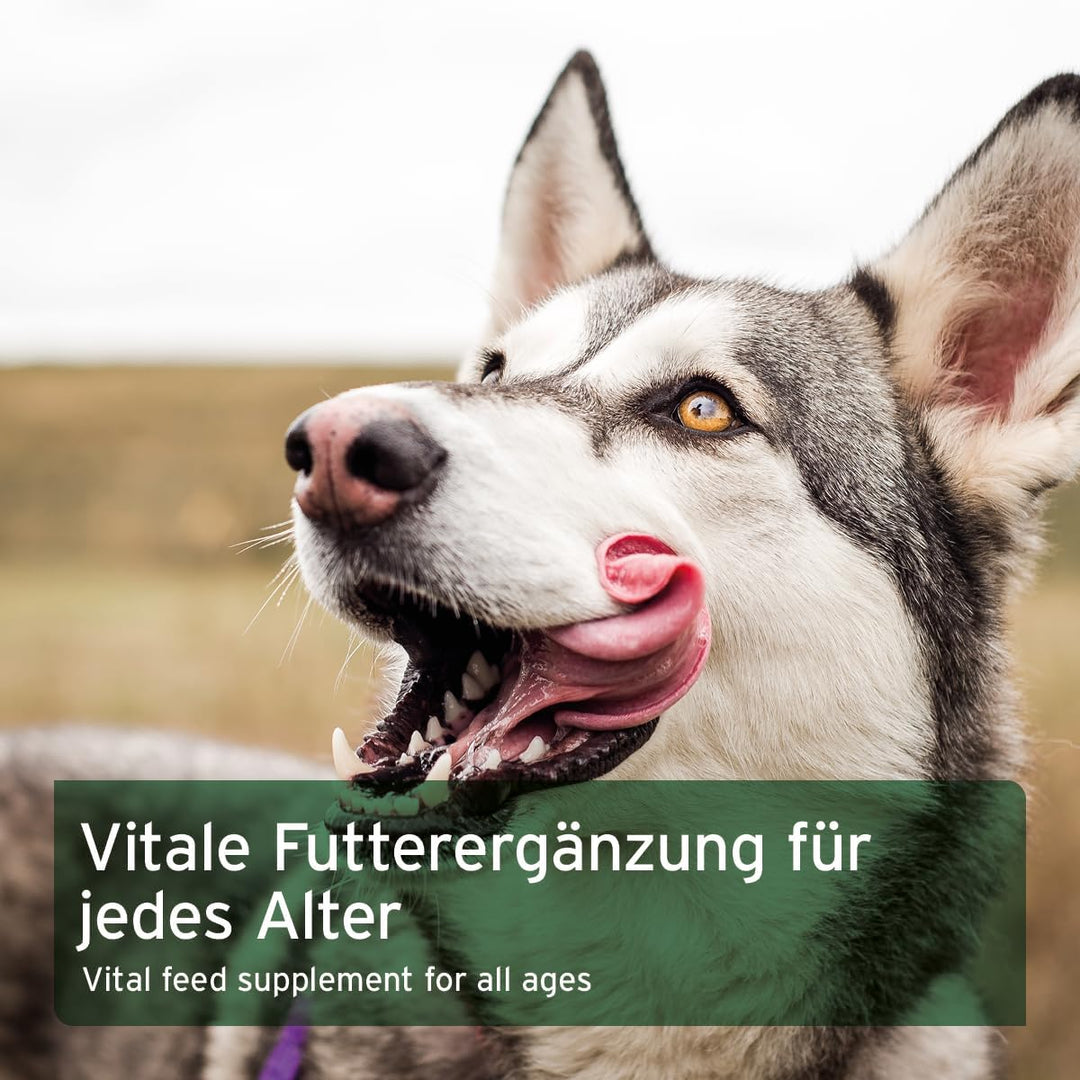 AniForte Barf Zusatz für Hunde Früchte und Gemüse mit Kräutern 1kg - Naturprodukt, Barf Ergänzungsfu