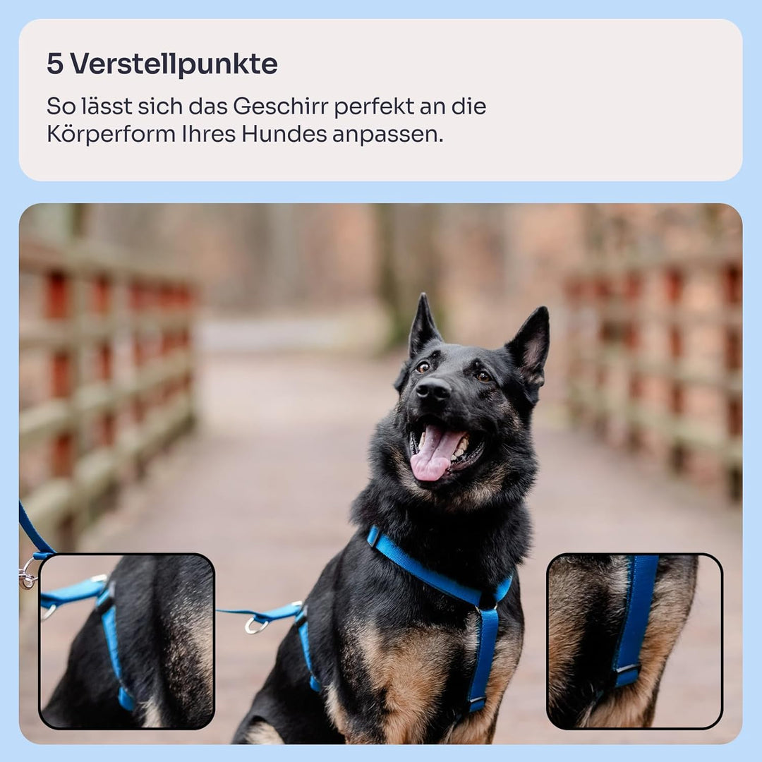 Chaba Guard Hundegeschirr Mittelgrosse Hunde Anti Zug & Würgen Geschirr Hund mit Kontrolle Classic S