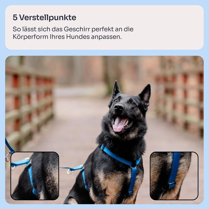 Chaba Guard Hundegeschirr Mittelgrosse Hunde Anti Zug & Würgen Geschirr Hund mit Kontrolle Classic S