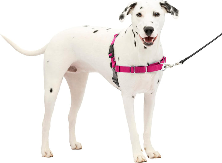 PetSafe Easy Walk Hundegeschirr. Himbeere/Grau Medium/Large, Himbeere/Grau Medium/Large
