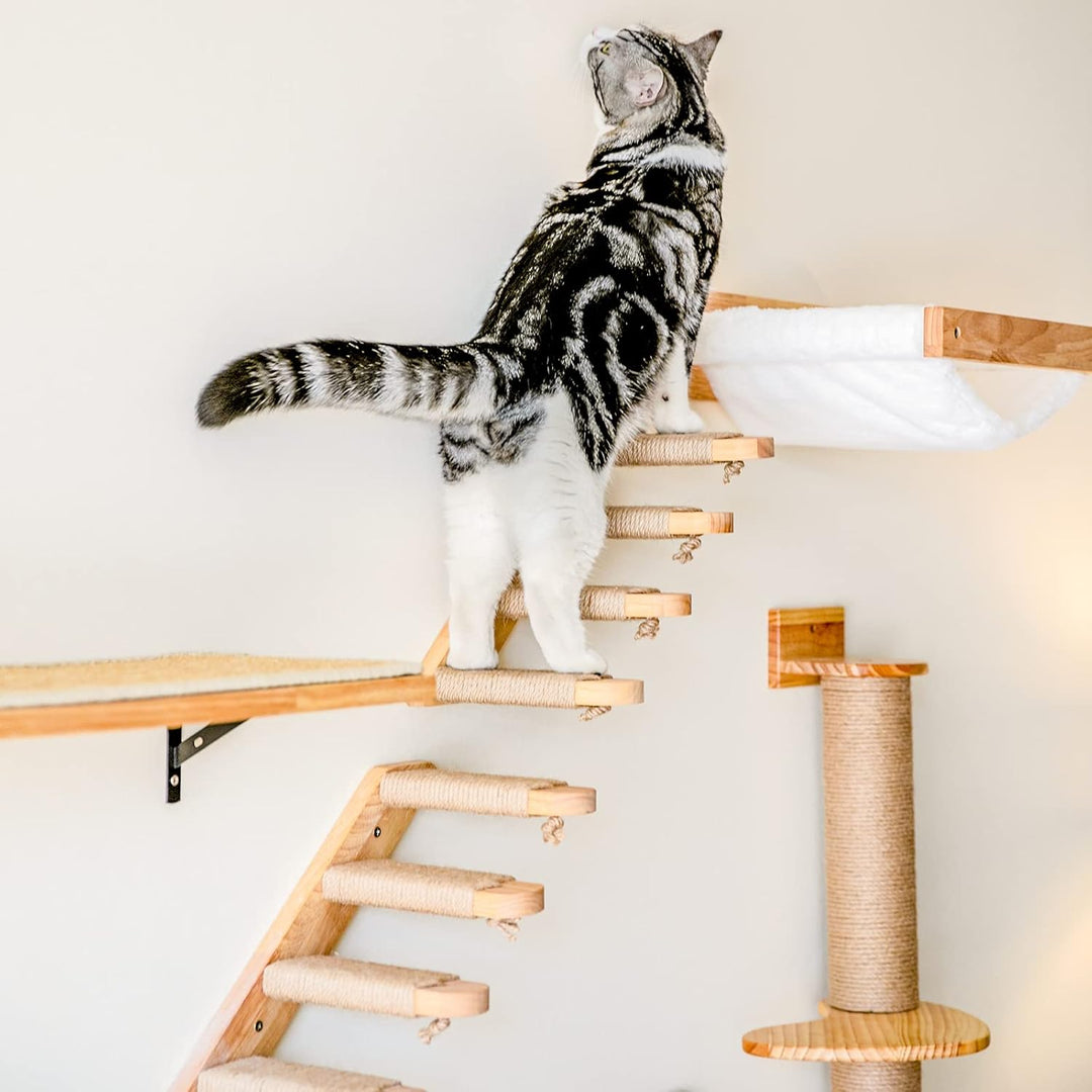 FUKUMARU Kletterwand Katzen, Katzentreppe Wand, Wandliege Katzen, aus Massives Gummiholz, für Katzen