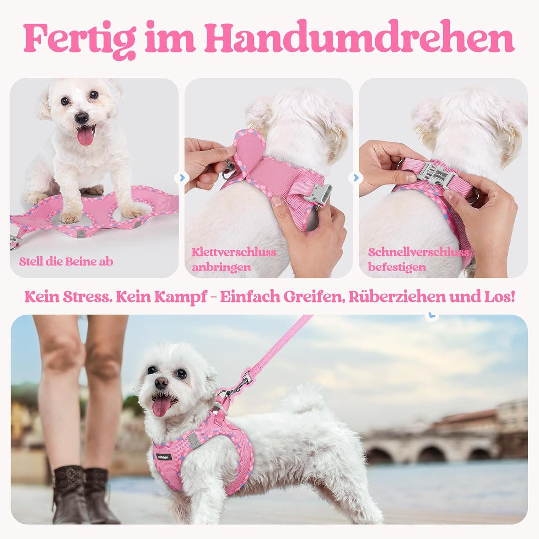 rabbitgoo Hundegeschirr Kleine Hunde mit Leine, Step-in Welpengeschirr Weich Mesh für Spaziergänge,