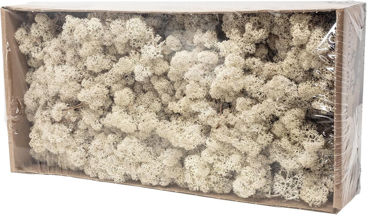 Karton Islandmoos Natur - 500g