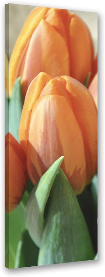 Feeby Bild auf Leinwand abstrakt Kunstdruck modern Tulpen Orange 30x90 cm Leinwandbild 30x90 cm Oran