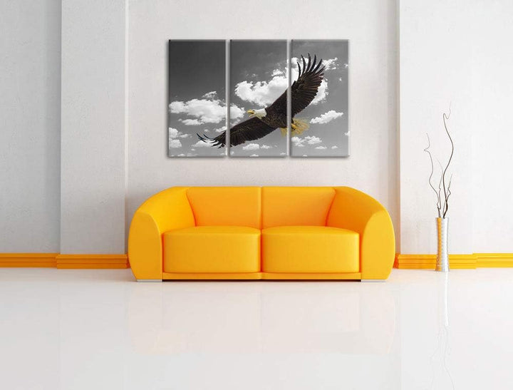 prächtiger Weisskopfseeadler beim fliegen schwarz/weiss 3-Teiler Leinwandbild 120x80 Bild auf Leinwa