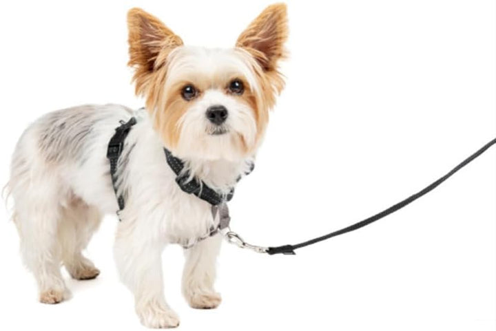 PetSafe 3-in-1-Geschirr und Rückhaltegurt für Hunde, Mit Anti-Zieh-Ring und Rückhaltegurt fürs Auto,
