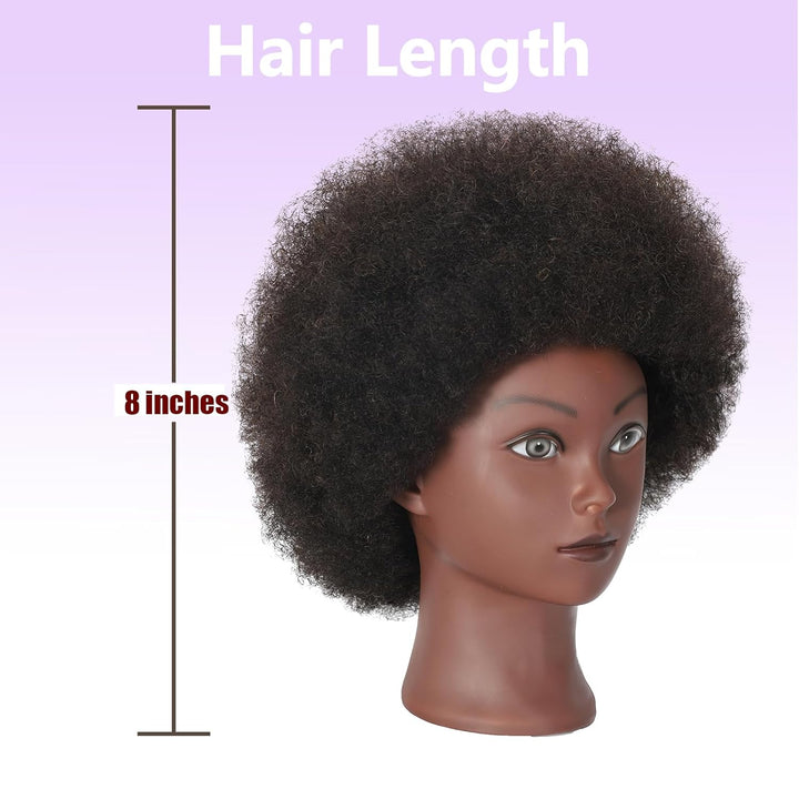 Afro Curly Mannequin Head with 100% Human Hair Curly Hair Friseur Hair Styling Cosmetology Mannequin