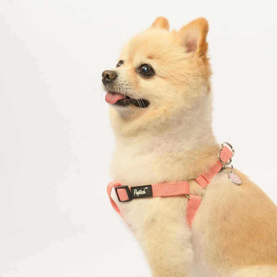 Pupteck Zerrfreies weiches verstellbares Hundegeschirr aus Nylon, einfaches Step-in Welpen-Weste für