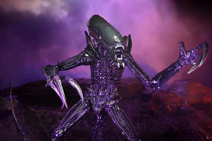 Alien 7" Actionfigur Razor Claws Alien vs. Predator grau, Bedruckt, 100 % Kunststoff, von NECA