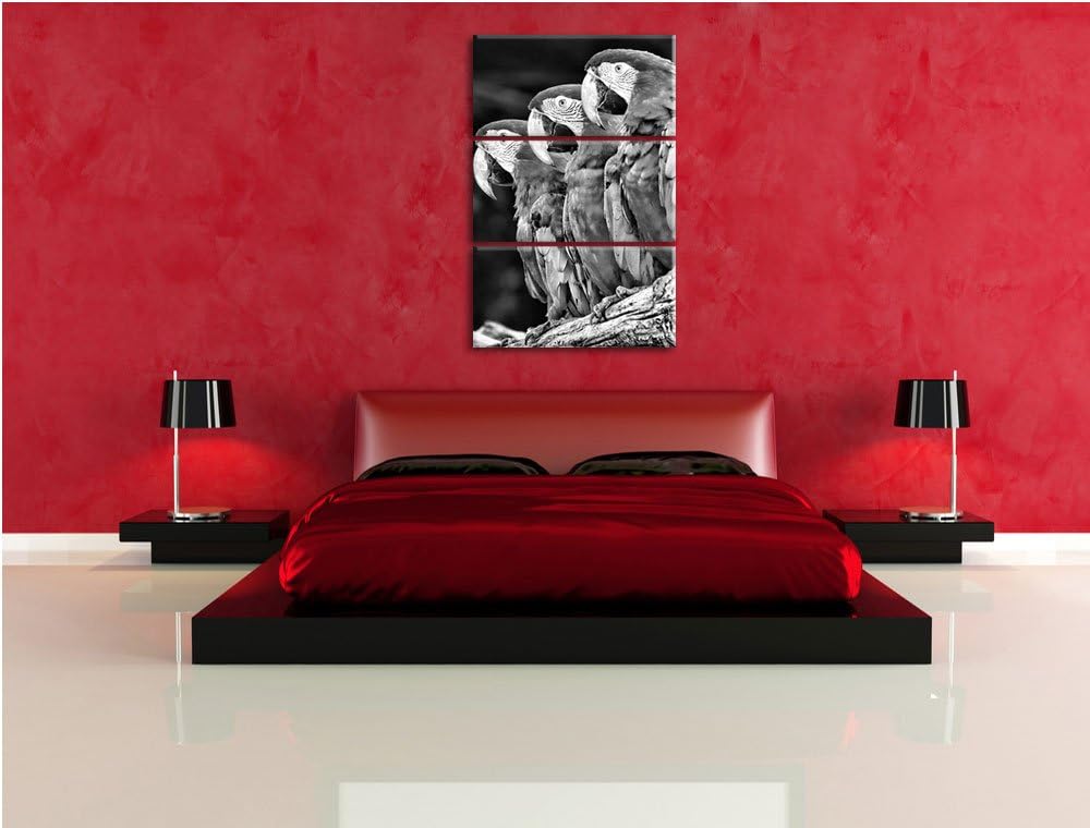 Papageien auf AST als Leinwandbild/Grösse: 3 Teilig (120x80) cm/Wandbild/Kunstdruck/fertig bespannt