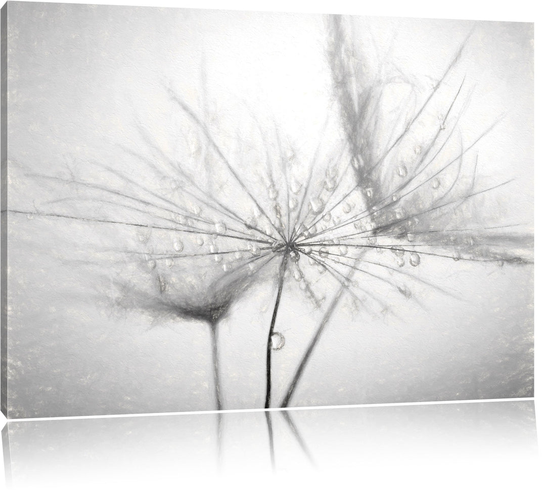 Pixxprint Pusteblume bedeckt mit Tropfen als Leinwandbild/Grösse: 100x70 / Wandbild/Kunstdruck/ferti