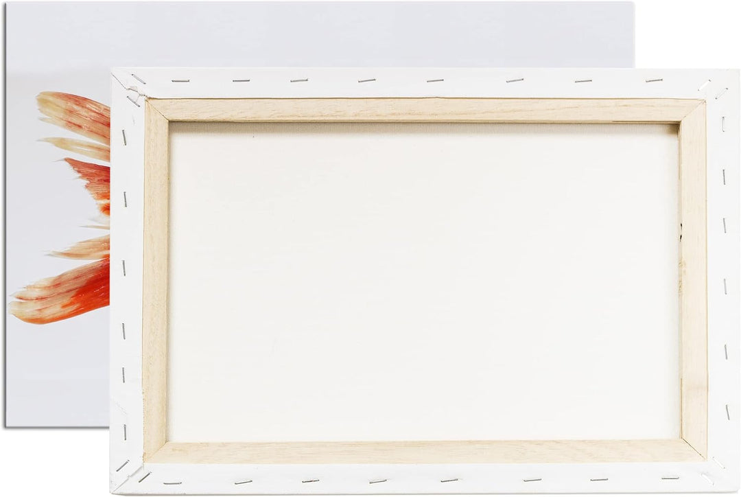 deyoli glänzender Goldfisch im Format: 80x60 als Leinwandbild, Motiv fertig gerahmt auf Echtholzrahm