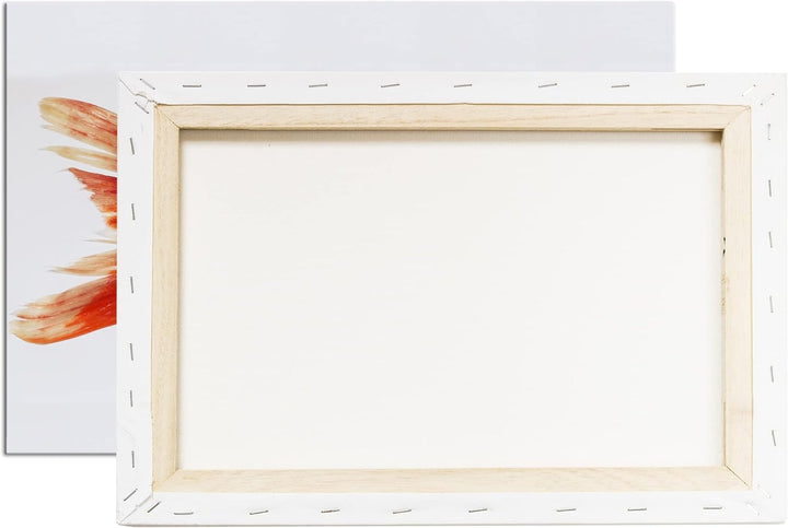 deyoli glänzender Goldfisch im Format: 80x60 als Leinwandbild, Motiv fertig gerahmt auf Echtholzrahm