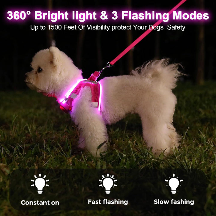 Leuchtend Hundegeschirr LED Aufladbar - Leuchtgeschirr Leuchtendes | Reflektierendes für Welpe Klein