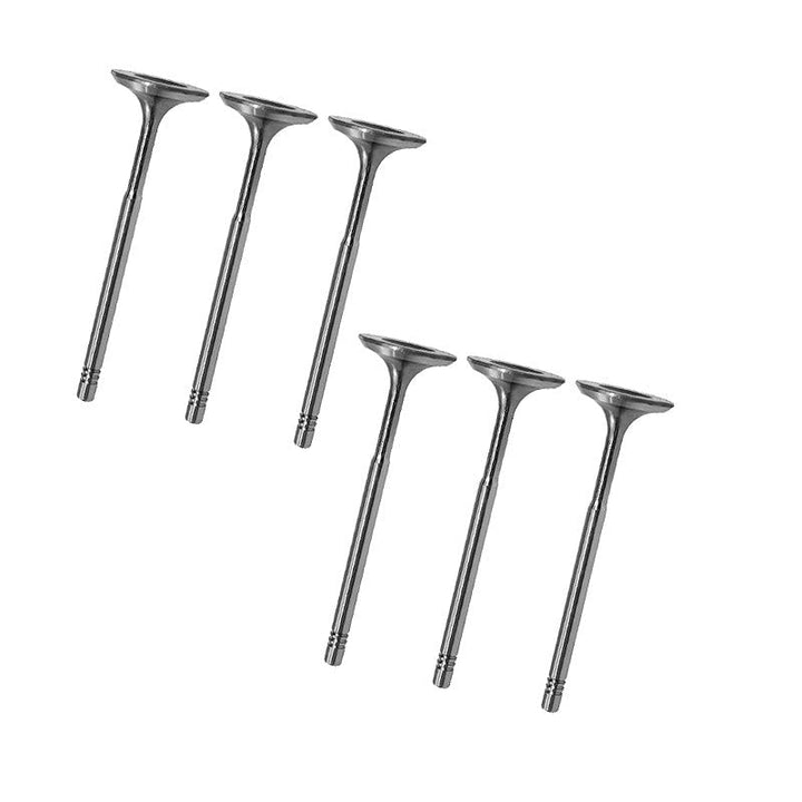 6x Einlassventil