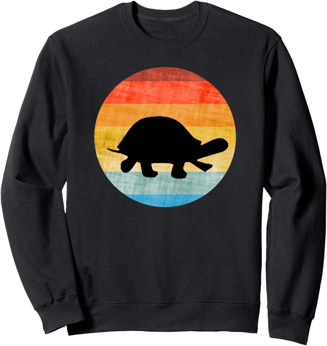Lustige Schildkröte Sweatshirt
