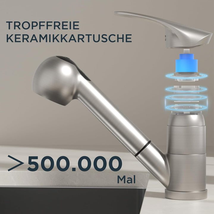 FORIOUS Wasserhahn Küche, Edelstahl Spültischarmatur mit Brause, Einhebelmischer Küchenarmatur, 360°