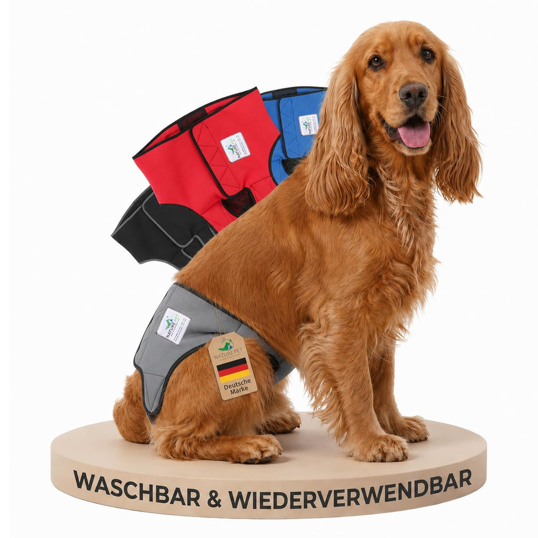 Läufigkeitshose für Hündinnen 2.0 - Hundewindeln aus hochwertigem perforiertem Neopren für einen opt
