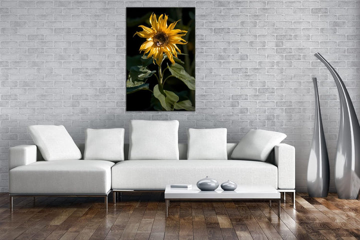 deyoli Blühende Sonnenblume Format:75x50 cm als Leinwandbild, Motiv fertig gerahmt auf Echtholzrahme