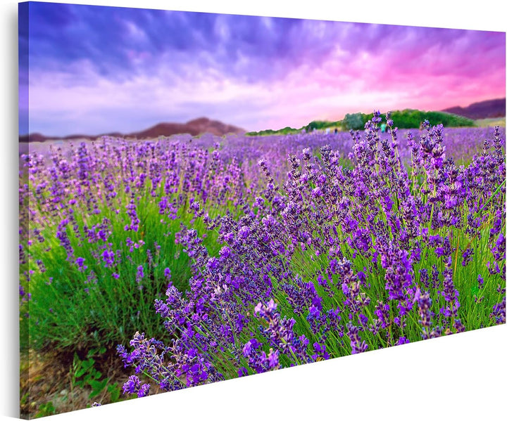 islandburner Bild auf Leinwand Sonnenuntergang über einem Lavendelfeld Tihany Ungarn Wandbild Poster