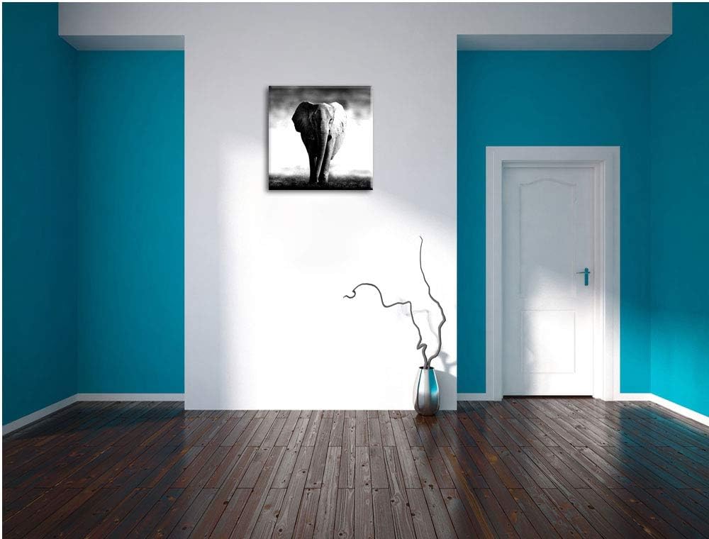 Pixxprint Elefant im Alleingang als Leinwandbild/Grösse: 70x70 cm/Wandbild/Kunstdruck/fertig bespann