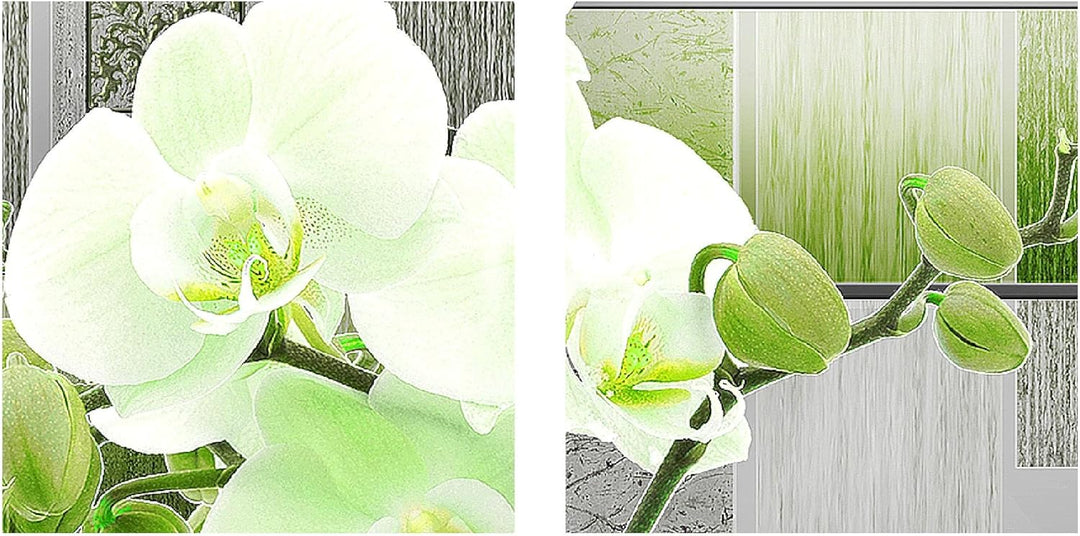 Runa Art Bild Modern Blumen Orchidee - Made in Germany - Wandbilder Abstrakt Grün Grau 4 Teilig 2046