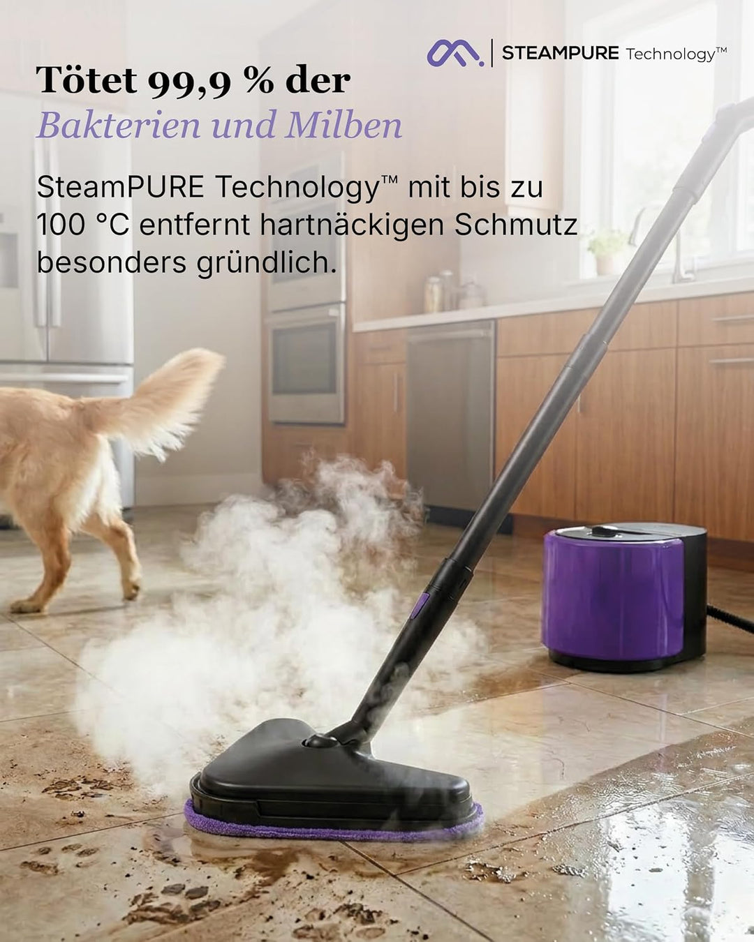 Motionflow PRO Dampfreiniger für alles - 1500W Hochdruck Steam Cleaner mit Edelstahlboiler für Polst