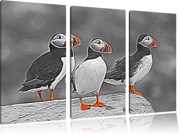 elegante Papageitaucher auf Felsen schwarz/weiss Spezial 3-Teiler Leinwandbild 120x80 Bild auf Leinw