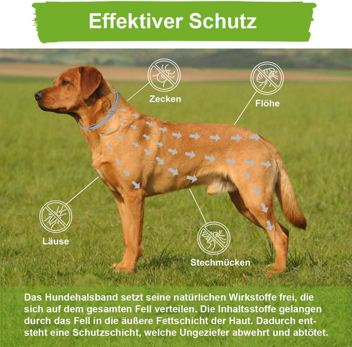 MC-Royal® Zeckenhalsband für Hunde - Effektiver Schutz vor Ungeziefern - wasserdicht und verstellbar