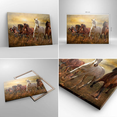 Bilder auf Leinwand 100x70cm Leinwandbild mit Rahmen Pferd Tier Natur Gross Wanddeko Bild Schlafzimm