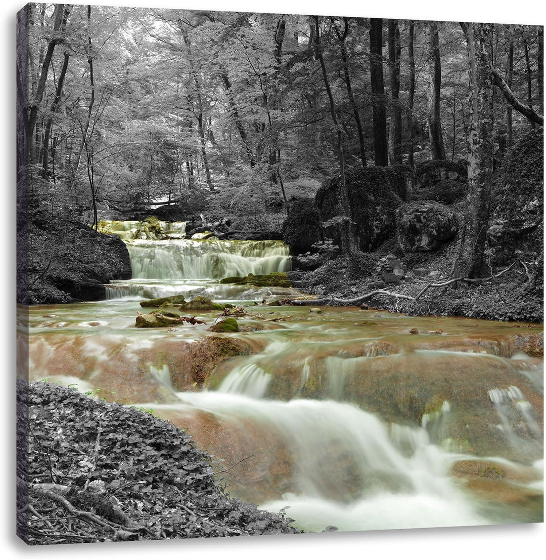 Pixxprint Waldbach im Herbst Schwarz/Weiss, Format: 70x70 auf Leinwand, 70x70